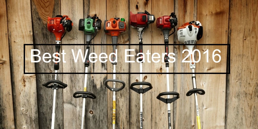 Best Weed Eater Reviews